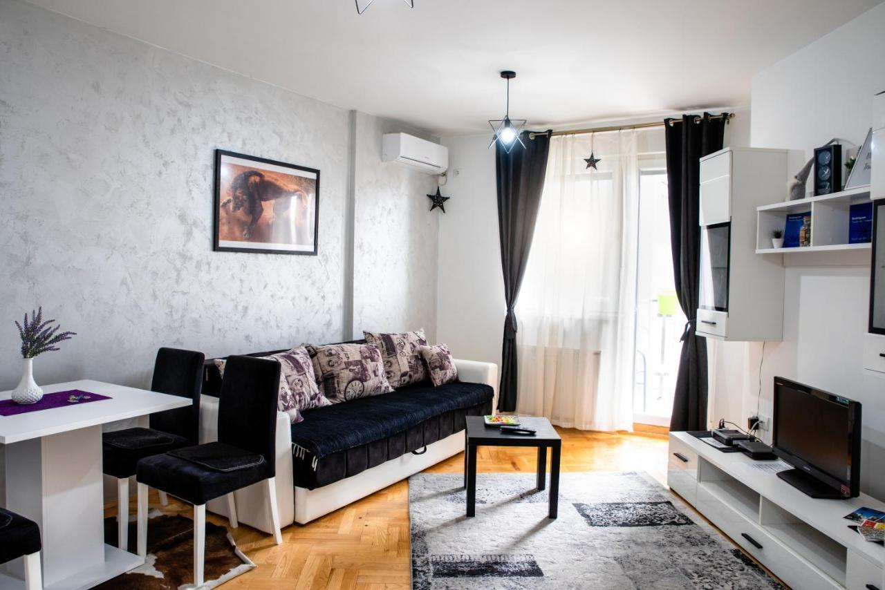 Appartamento Apartman Black Star Novi Sad Esterno foto