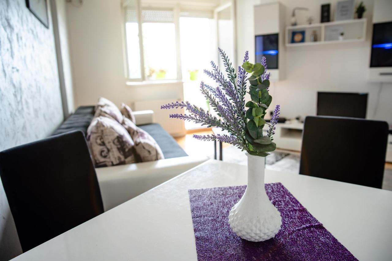 Appartamento Apartman Black Star Novi Sad Esterno foto